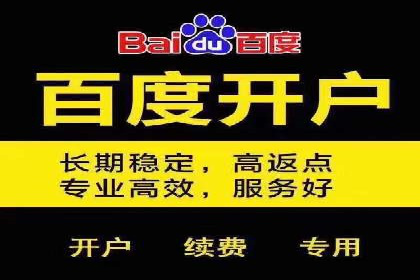 百度平台推广：成功案例解析与效果分析